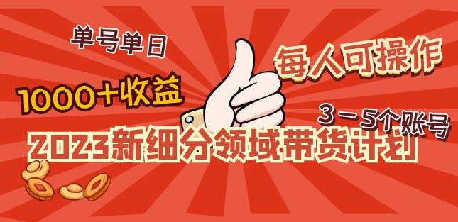 2023新细分领域带货计划：单号单日1000+收益不难，每人可操作3-5个账号-如意资源库
