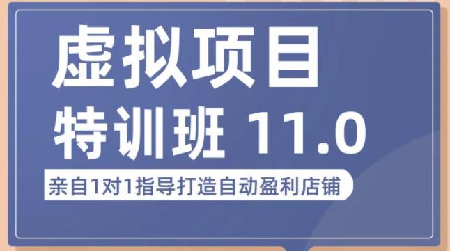 陆明明·虚拟项目特训班（10.0+11.0），0成本获取虚拟素材，0基础打造自动盈利店铺-如意资源库