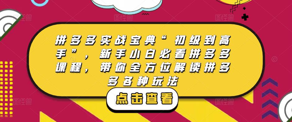 拼多多实战宝典“初级到高手”，新手小白必看拼多多课程，带你全方位解读拼多多各种玩法-如意资源库