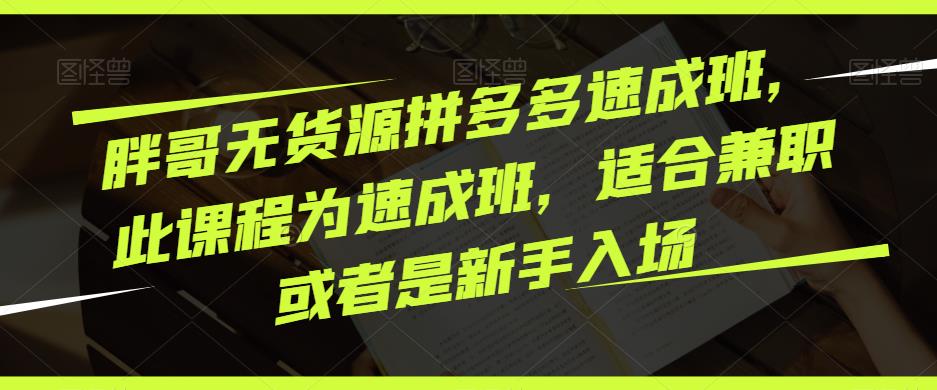 胖哥无货源拼多多速成班，此课程为速成班，适合兼职或者是新手入场-如意资源库