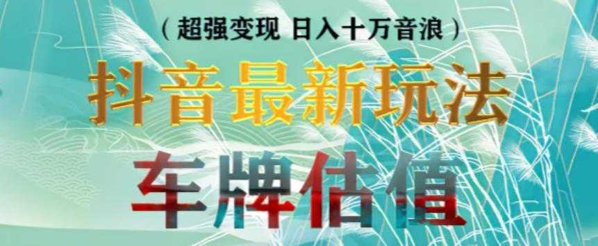 抖音最新无人直播变现直播车牌估值玩法项目，轻松日赚几百+【详细玩法教程】-如意资源库