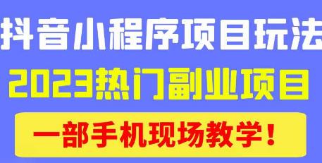 抖音小程序9.0新技巧，2023热门副业项目，动动手指轻松变现-如意资源库