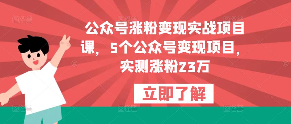 公众号涨粉变现实战项目课，5个公众号变现项目，实测涨粉23万-如意资源库