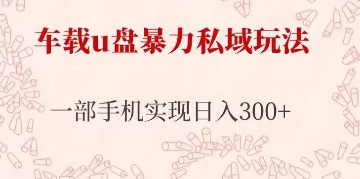 车载u盘暴力私域玩法，长期项目，仅需一部手机实现日入300+-如意资源库