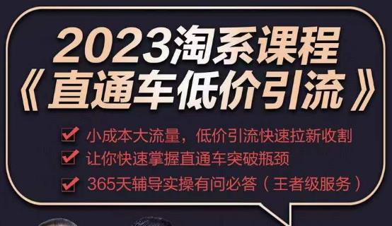 2023直通车低价引流玩法课程，小成本大流量，低价引流快速拉新收割，让你快速掌握直通车突破瓶颈-如意资源库