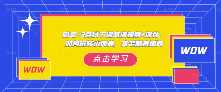 哈哥·3月线下实操课高清视频+课件，如何玩转小而美，高毛利直播间-如意资源库