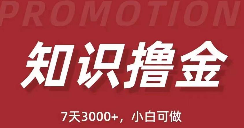 抖音知识撸金项目：简单粗暴日入1000+执行力强当天见收益(教程+资料)-如意资源库