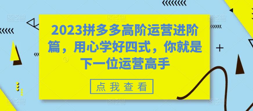 2023拼多多高阶运营进阶篇，用心学好四式，你就是下一位运营高手-如意资源库
