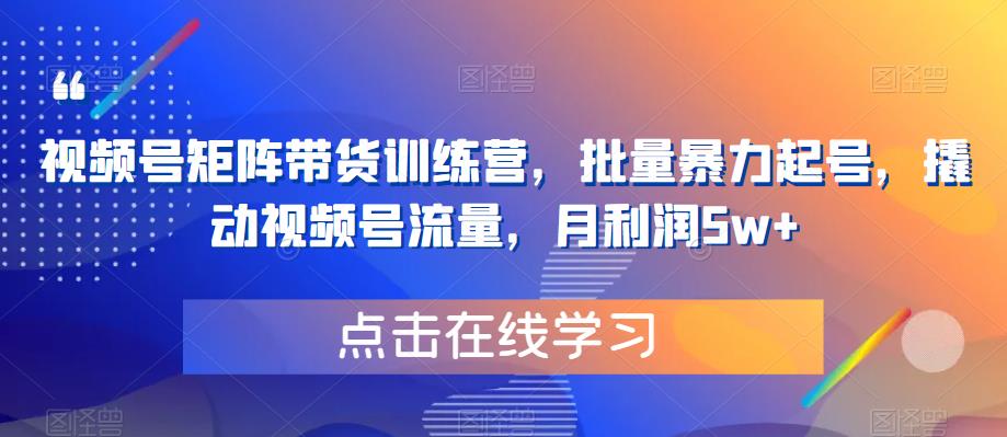 视频号矩阵带货训练营，批量暴力起号，撬动视频号流量，月利润5w+-如意资源库