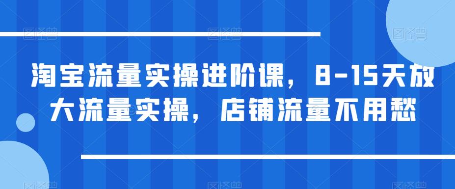 淘宝流量实操进阶课，8-15天放大流量实操，店铺流量不用愁-如意资源库