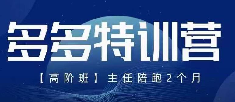 纪主任·5月最新多多特训营高阶班，玩法落地实操，多多全掌握-如意资源库