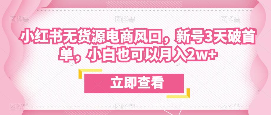 众狼电商余文小红书无货源电商风口，新号3天破首单，小白也可以月入2w+-如意资源库