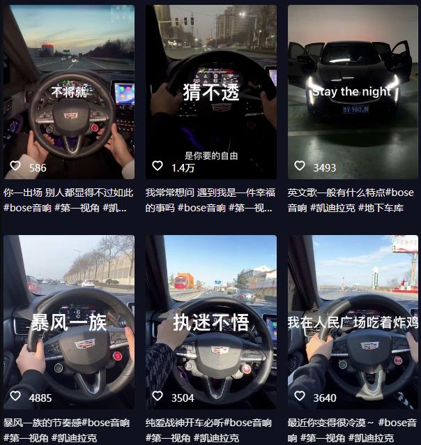 抖音开车视频项目，0基础操作，每天五分钟，月入1W+【揭秘】-如意资源库