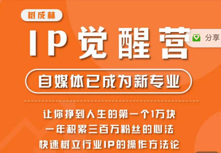 树成林·IP觉醒营，快速树立行业IP的操作方法论，让你赚到人生的第一个1万块-如意资源库