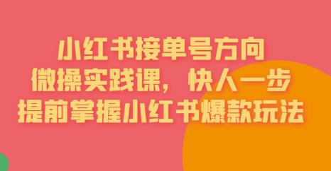 接单号方向·小红书微操实践课，快人一步，提前掌握小红书爆款玩法-如意资源库
