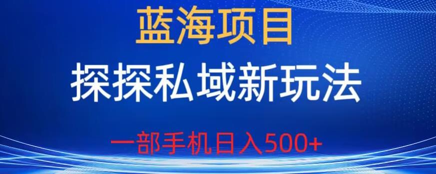 蓝海项目，探探私域新玩法，一部手机日入500+很轻松【揭秘】-如意资源库