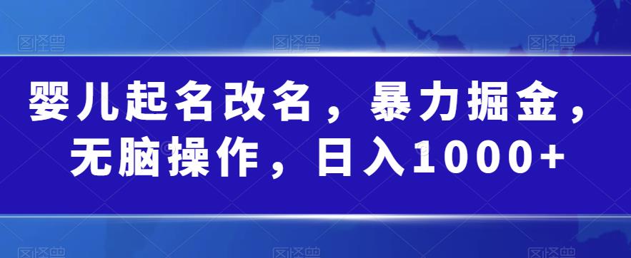 婴儿起名改名，暴力掘金，无脑操作，日入1000+【揭秘】-如意资源库