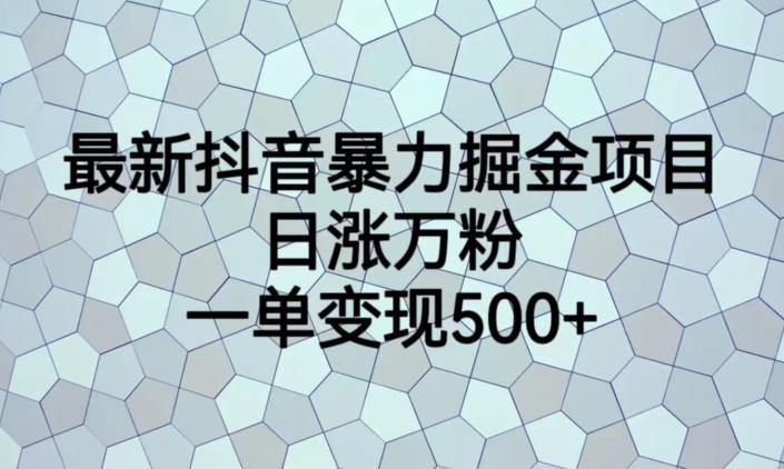 最新抖音暴力掘金项目，日涨万粉，一单变现500+【揭秘】-如意资源库