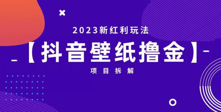 抖音壁纸小程序创作者撸金项目，2023新红利玩法【项目拆解】-如意资源库
