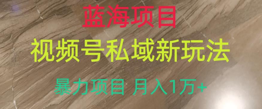 蓝海项目，视频号私域新玩法，暴力项目月入1万+【揭秘】-如意资源库