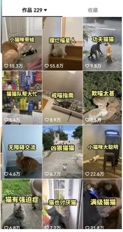 拆解：抖音盘点类中视频变现副业项目，视频版一条龙大解析分享给你-如意资源库