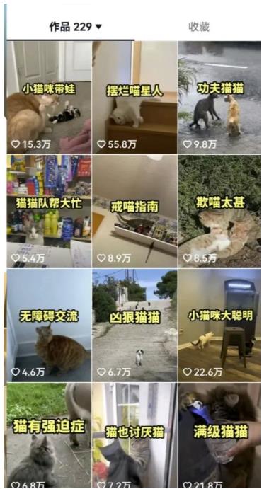 拆解抖音盘点类中视频变现副业项目，视频版一条龙大解析分享给你【视频课程】-如意资源库