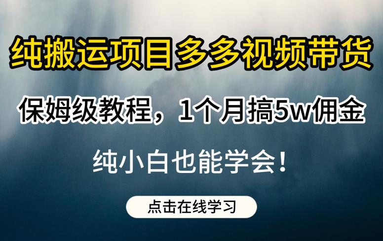 纯搬运项目多多视频带货保姆级教程，1个月搞5w佣金，纯小白也能学会【揭秘】-如意资源库