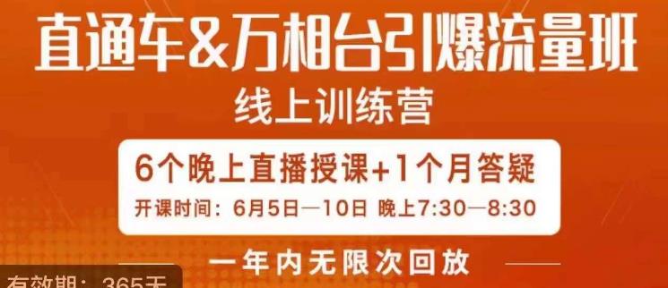 直通车&万相台引爆流量班，6天打通你开直通车·万相台的任督二脉-如意资源库