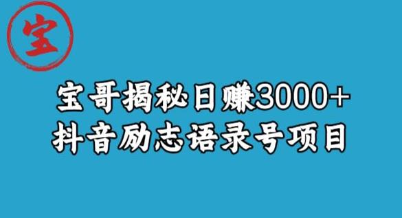宝哥揭秘日赚3000+抖音励志语录号短视频变现项目-如意资源库