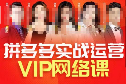 推易拼多多VIP全套直播课程，拼多多店铺实操玩法+实战玩法选款内功+直通车高阶等-如意资源库