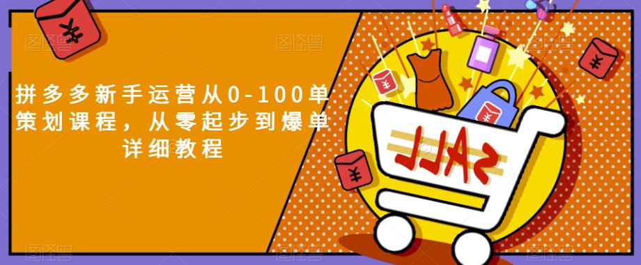 拼多多新手运营从0-100单策划课程，从零起步到爆单详细教程-如意资源库