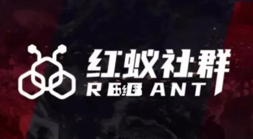 社群运营：红蚁社群【48节落地系统课程+2000人高端社群】-如意资源库