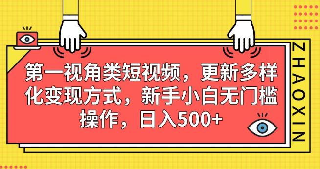 第一视角类短视频，更新多样化变现方式，新手小白无门槛操作，日入500+【揭秘】-如意资源库