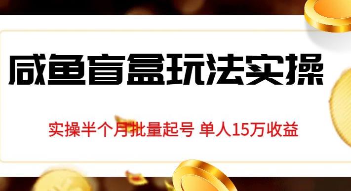 独家首发咸鱼盲盒玩法实操，半个月批量起号单人15万收益【揭秘】-如意资源库