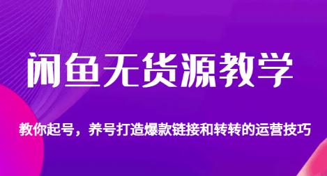 闲鱼无货源教学，教你起号，养号打造爆款链接以及转转的运营技巧-如意资源库
