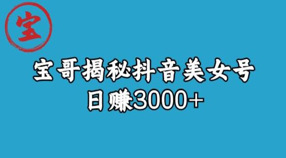 宝哥揭秘抖音美女号玩法，日赚3000+【揭秘】-如意资源库