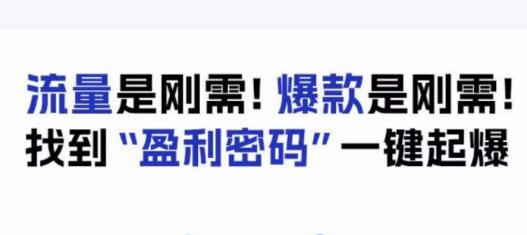 电商盈利精品课：6大盈利密码让产品更好卖，流量是刚需！爆款是刚需！找到”盈利密码”一键起爆-如意资源库