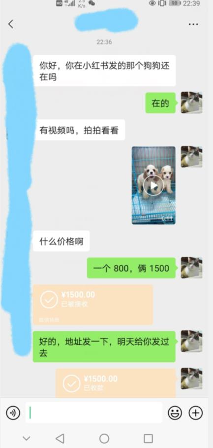 外边收费3980的同城萌宠项目，用最冷门的玩法冲击最热门的市场【揭秘】-如意资源库