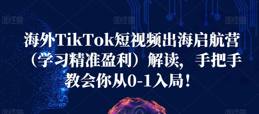 海外TikTok短视频出海启航营（学习精准盈利）解读，手把手教会你从0-1入局！-如意资源库