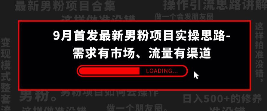 9月首发最新男粉项目实操思路-需求有市场，流量有渠道【揭秘】-如意资源库