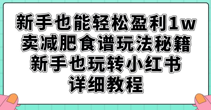 新手也能轻松盈利1w，卖减肥食谱玩法秘籍，新手也玩转小红书详细教程【揭秘】-如意资源库