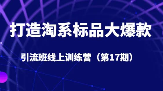 打造淘系标品大爆款引流班线上训练营（第17期）5天直播授课-如意资源库