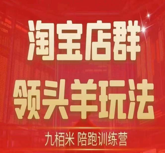 九栢米-淘宝店群领头羊玩法，教你整个淘宝店群领头羊玩法以及精细化/终极蓝海/尾销等内容-如意资源库
