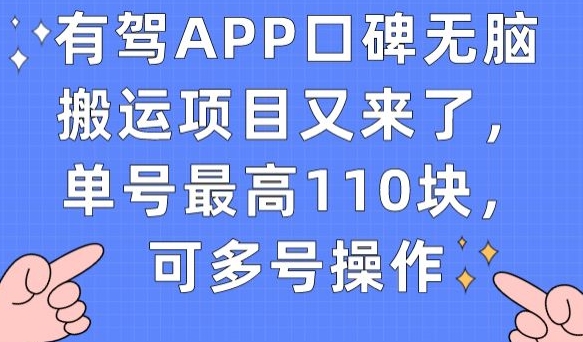 有驾APP口碑无脑搬运项目又来了，单号最高110块，可多号操作-如意资源库
