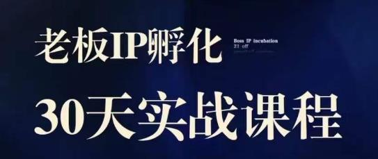 诸葛·2023老板IP实战课，实体同城引流获客，IP孵化必听-如意资源库