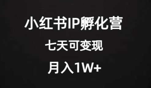 价值2000+的小红书IP孵化营项目，超级大蓝海，七天即可开始变现，稳定月入1W+-如意资源库