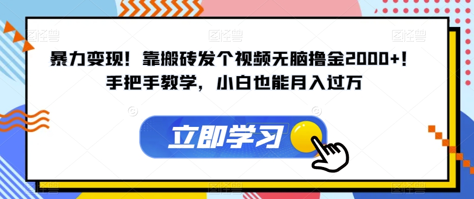暴力变现！靠搬砖发个视频无脑撸金2000+！手把手教学，小白也能月入过万【揭秘】-如意资源库