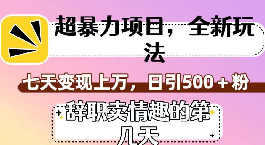 超暴利项目，全新玩法（辞职卖情趣的第几天），七天变现上万，日引500+粉【揭秘】-如意资源库