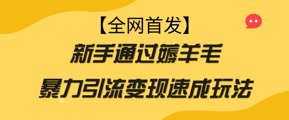 【全网首发】新手通过薅羊毛暴力引流变现速成玩法-如意资源库