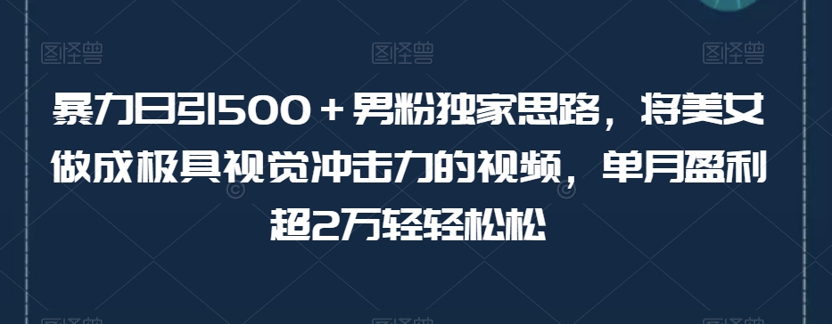 暴力日引500＋男粉独家思路，将美女做成极具视觉冲击力的视频，单月盈利超2万轻轻松松-如意资源库